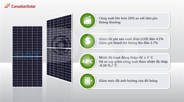 1585550039018_CSI 445MS-2